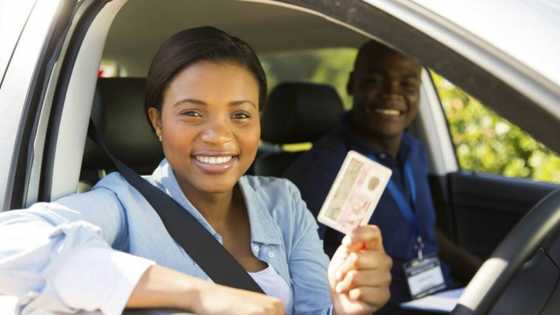 How to check if driver's license is ready for collection online