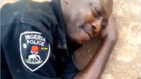 Bidiyo: Jama'a sun muzanta wani dan sanda da ya fadi a titi bayan ya yi tatul da giya