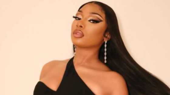 Megan Thee Stallion goes viral after electric performance at Billboard Awards, wins Best Rap Female Artiste