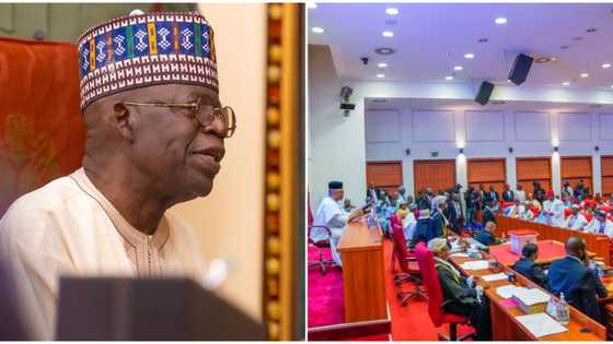 President Tinubu seeks senate confirmation for NEDC board members