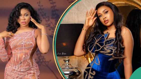 "BBNaija All Stars participants need to see therapists": Princess lashes out on housemates & viewers
