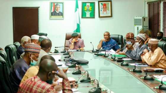 New development emerges as FG denies exempting ASUU from IPPIS, issues clarification as strike continues