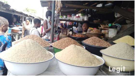 Legit.ng weekly price check: Rice sellers groan as a bag sells for N32,000 in popular Lagos market