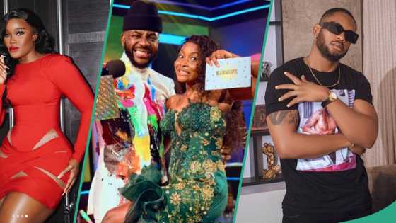 BBNaija All Stars: Video captures CeeC, Cross, and others' reactions to Ilebaye's victory on stage