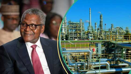 OPEC says new refineries coming up in Nigeria to rival Dangote, lift sales, one produces 20,000bpd