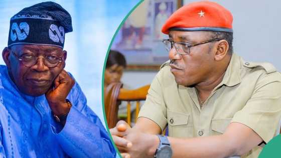 CSU saga: Buhari’s minister speaks on posting credentials online: “I didn’t do it to taunt Tinubu”