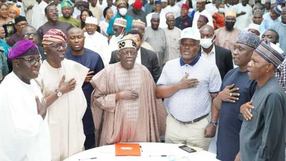 2023 presidency: APC national leader Tinubu meets House of Assembly speakers