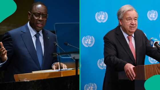 Next UN Secretary-General: Full list of 4 leading candidates for 2026 selection