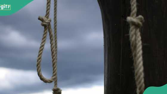 "Major concern": Nigeria ranks sixth globally in self-inflicted deaths rates, expert warns