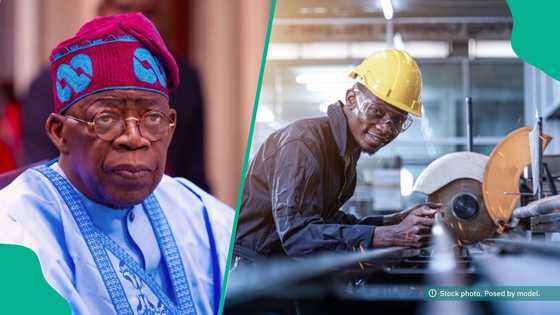 15,000 jobs assured as FG moves to revive Nigeria's steel sector