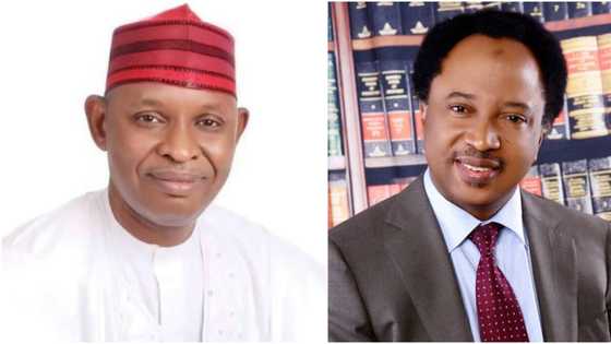 Shehu Sani reacts as Kano governor stops increment of tuition fees in private primary, secondary schools