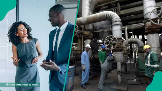 Dangote releases new job vacancies for Nigerians to apply