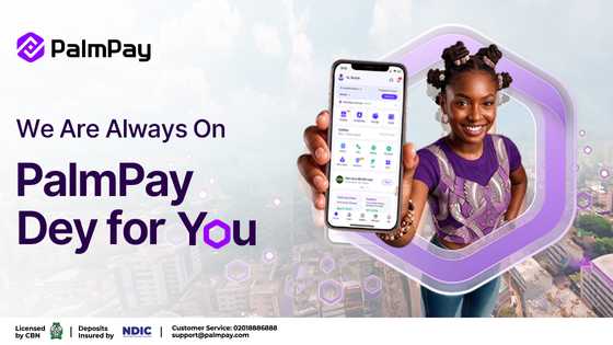 As digital scams get smarter, PalmPay highlights tools Nigerians can use to stay safer