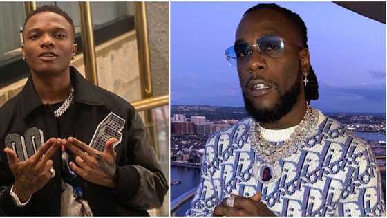 New best friends? Singers Wizkid and Burna Boy hang out again in Ghana (video)