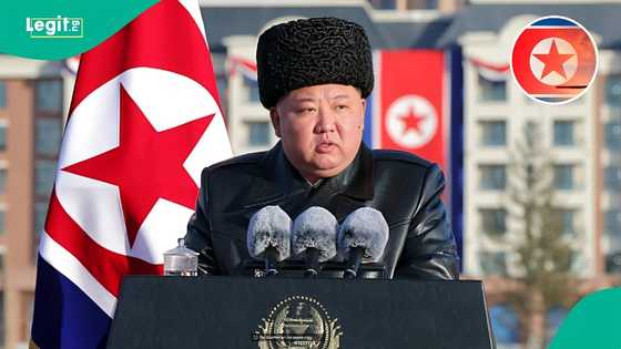 North Korea launches 10 ballistic missiles after US drills scaled back