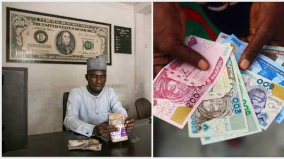Naira ends strong at N743 per dollar in I&E Window amid CBN devaluation