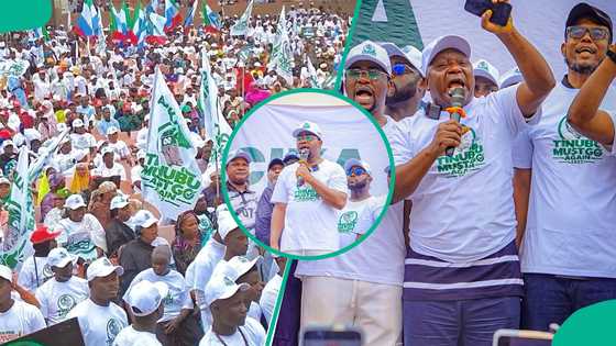 Bayan Tinubu Must Go, ƴan APC sun bullo da Tinubu Must Go Again a Adamawa