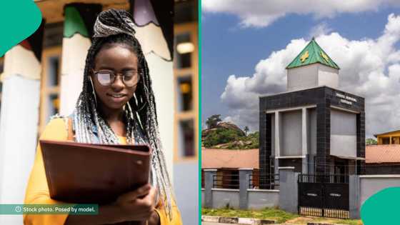 Lady in awe over unusual setup she found in her sister's university hostel room, photo trends