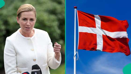 Denmark lists 64 jobs foreigners can use to qualify for a work and residence permit in the country
