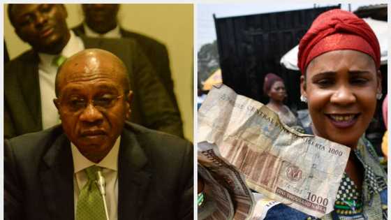 Naira sets new record, hits lowest level in history in the 9-year tenure of Godwin Emefiele as CBN governor