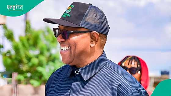 Is Peter Obi stingy? Analyst cites evidence amid ‘I no dey give shishi’ reputation