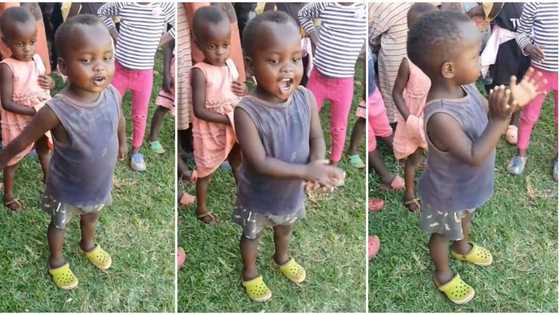 "Upcoming pastor": Very confident little boy leads prayers and praise in public, video goes viral