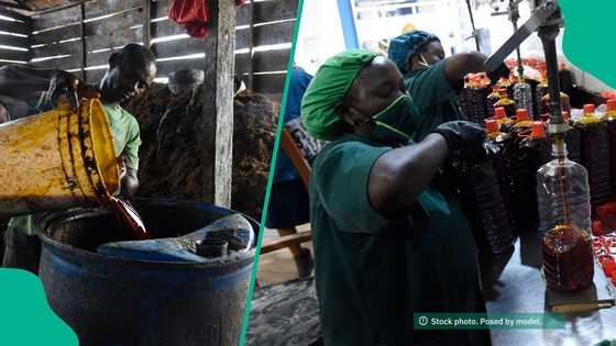 Fresh claims emerge as traders allegedly dilute palm oil with harmful substances in Southeast