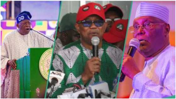 Atiku, Obi vs Tinubu: Fitaccen Malamin Addini Ya Bayyana Yadda Shari'ar Za Ta Kare