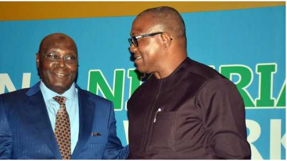 No more black out: How Atiku, Obi plan to fix power problem, new revelation emerges