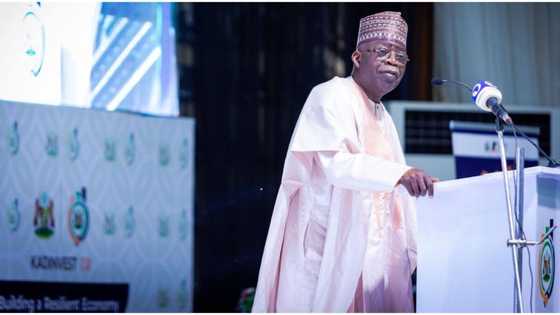 I have been warned to stay on script, says Bola Ahmed Tinubu