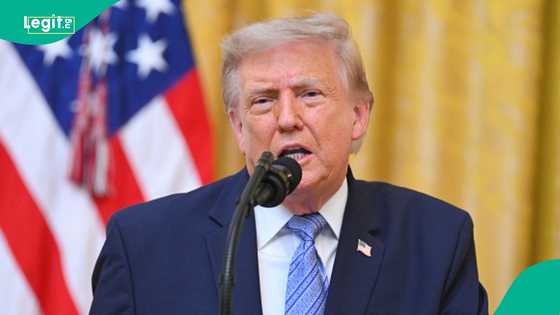US Green Card Lottery explained: All you need to know about America’s Diversity Visa programme