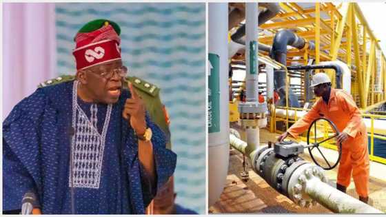 Nigeria reclaims position as Africa's leading oil producer, President Bola Tinubu promises reforms