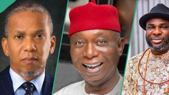 Tribunal, Appeal Court judgment: List of Delta senators who have emerged victorious