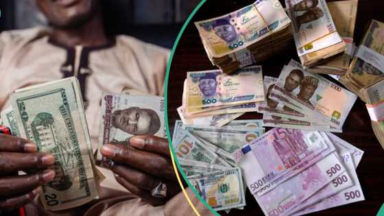 CBN gives new exchange rate as naira appreciates against pound, euro