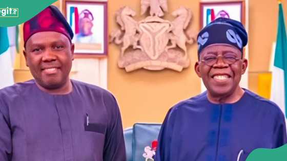 Cabinet reshuffle: Bwala speaks on how Tinubu will sack, retain ministers