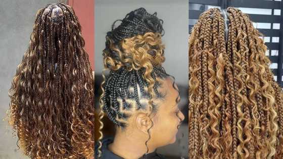 Top 60 goddess braids styles for 2025 for trendy ladies (pictures)