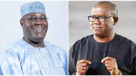 Jerin Jiga-Jigan PDP 5 Da Sukayi Watsi Da Atiku Suka Koma Bayan Peter Obi