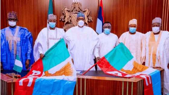 Zaben APC: ‘Yan Jam’iyya a Arewa sun tsaida ‘Dan amanar Buhari a matsayin ‘dan takararsu