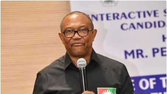 2023: After Okupe's resignation, Labour Party sacks chairman in strategic state, Obi's chances weighed