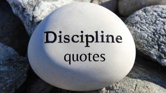 Best discipline quotes to motivate you each morning