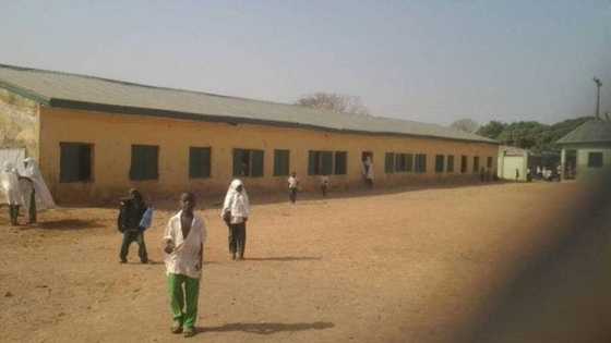 Daredevil bandits reportedly convert classrooms to hideouts in northern state