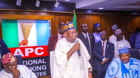 Ganduje Ya Yi Magana Kan Sabon Rikicin Da Ya Ɓarke a Jam'iyyar APC, Ya Gana da Gwamnan Arewa