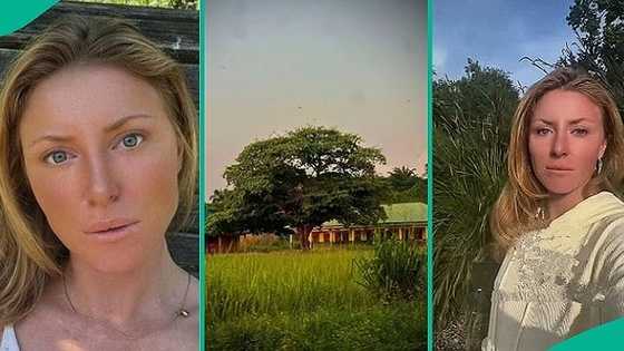 German lady exposes Nigerian man who reportedly scammed her of $18k after posing as website designer