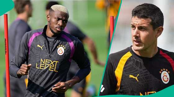 UEFA Champions League: Galatasaray coach sends Victor Osimhen warning to Barcelona