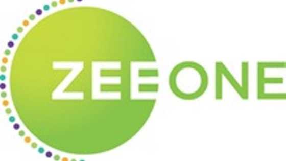 Zee World Sister Channel, Zee One, Launches November 1 on StarTimes