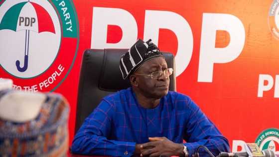 PDP Crisis: Heads begin to roll over Iyorchia Ayu's dilemma