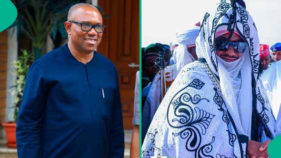 Peter Obi ya tsoma baki a rikicin sarautar Kano bayan janye gayyatar Sanusi II