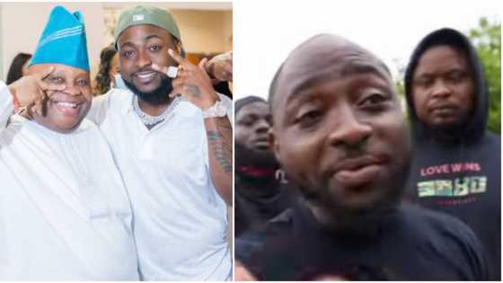 "We're the best for the job": Davido says as he reveals why he stuck his head out for uncle senator Adeleke