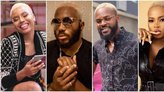 Falz, Iyabo Ojo and 6 other celebs who switched up their looks with colourful hairdos