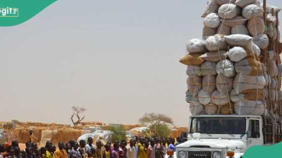 Gwamnati ta bankado hanyoyi 32 na safarar abinci daga Najeriya zuwa kasashen waje